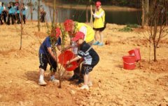 i2全外教少儿英语教育i2艾途儿童成长中心教育组织学员参加植树节活动